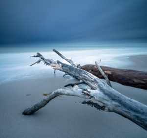 Entwurzelte Bäume am Strand der Ostsee, dunkle Wolken, Langzeitbelichtung, Halbinsel Fischland-Darß-Zingst, Nationalpark Vorpommersche Boddenlandschaft, Mecklenburg-Vorpommern, Deutschland Entwurzelte Bäume am Strand der Ostsee, dunkle Wolken, Langzeitbelichtung, Halbinsel Fischland-Darß-Zingst, Nationalpark Vorpommersche Boddenlandschaft, Mecklenburg-Vorpommern, Deutschland